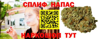 мдпв Моздок