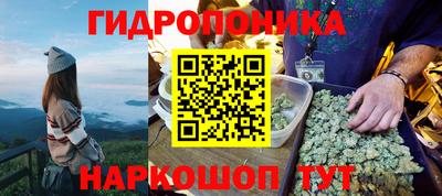 таблы Можга