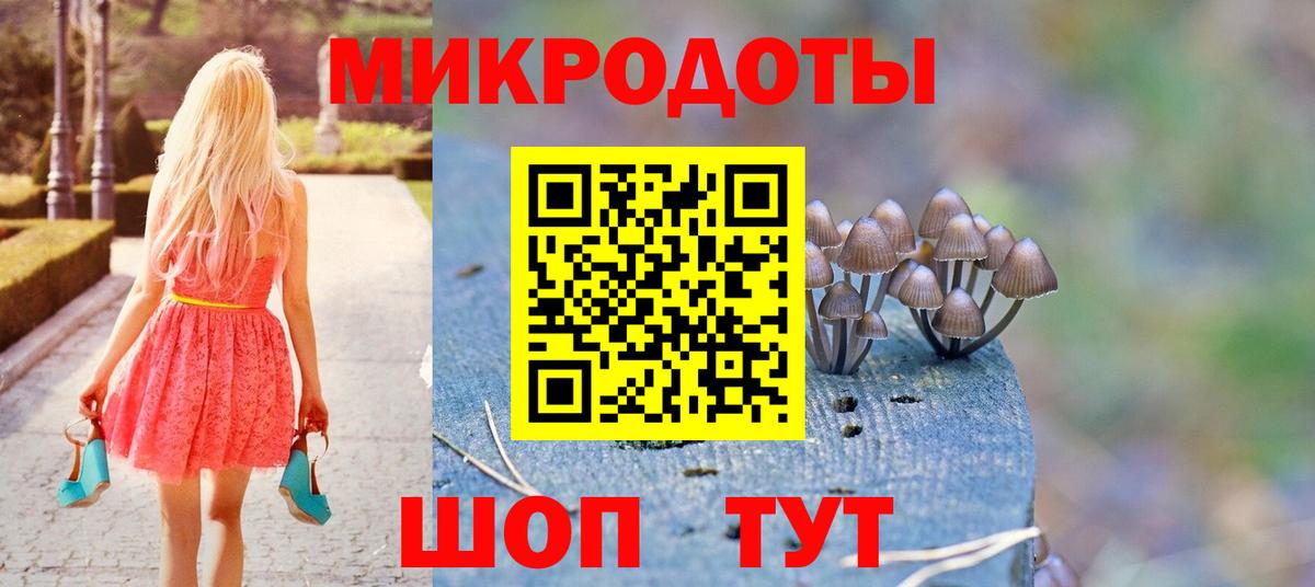 Псилоцибиновые грибы Psilocybine cubensis Шарыпово